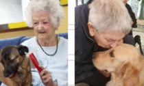 Cerino Zegna: Pet therapy, una scommessa vinta