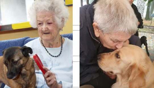 Cerino Zegna: Pet therapy, una scommessa vinta