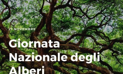 Anche nel Biellese si festeggia la "Giornata nazionale dell'albero" con i Carabinieri forestali