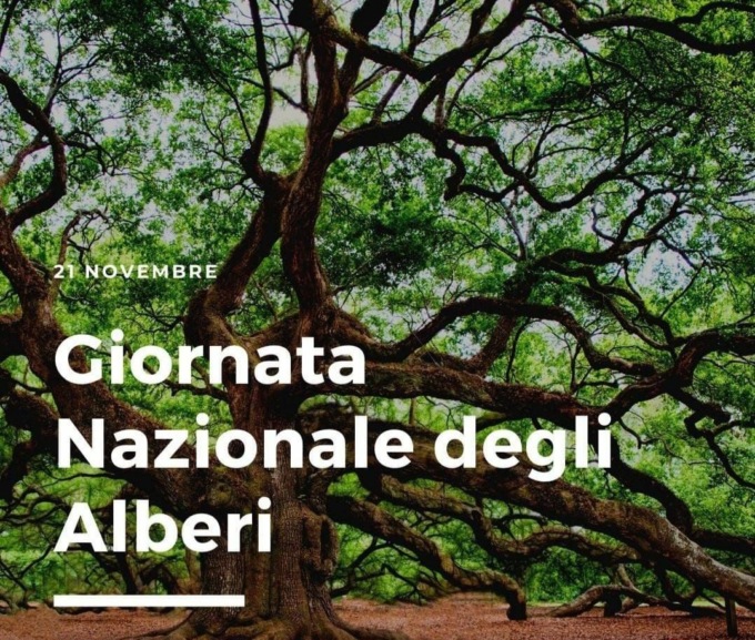 Anche nel Biellese si festeggia la “Giornata nazionale dell’albero” con i Carabinieri forestali