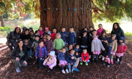Giornata dell’Albero: festa alla sequoia di Chiavazza