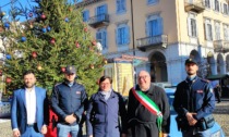 Comune e Questura decorano un albero in piazza Duomo