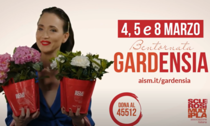 Da domani torna “Bentornata Gardensia” con gardenie e ortensie a favore dell'Aism