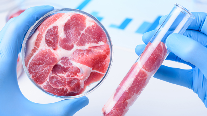 Coldiretti Vercelli-Biella saluta il Ddl che vieta la produzione e l’immissione sul mercato italiano di alimenti sintetici