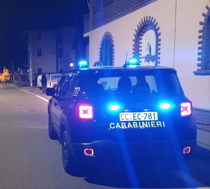 Auto investe un animale selvatico sulla statale