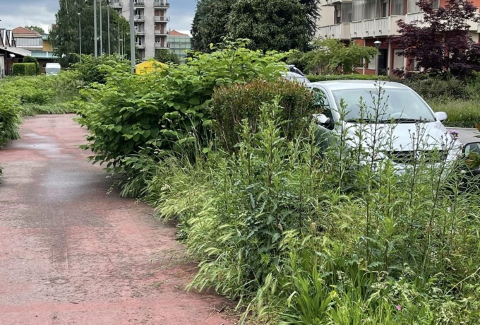 “L’erba è sempre più alta: la giunta dovrebbe vergognarsi”
