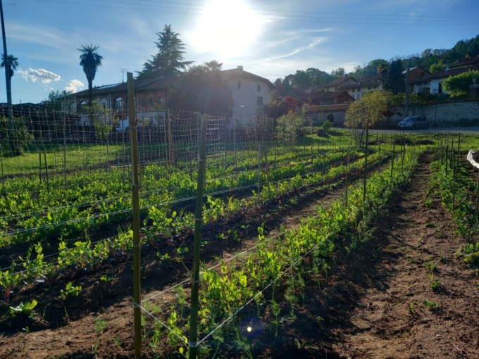 Un bicchiere di vino gratis all’evento di questo sabato che celebra un nuovo modo di coltivare