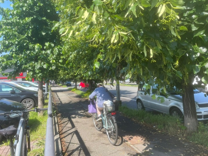 Una città che sembra una giungla