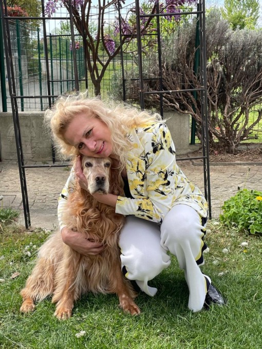 Limitazioni ai circhi che utilizzano animali
