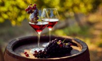 BiWine: arriva la vetrina espositiva dei vini biellesi