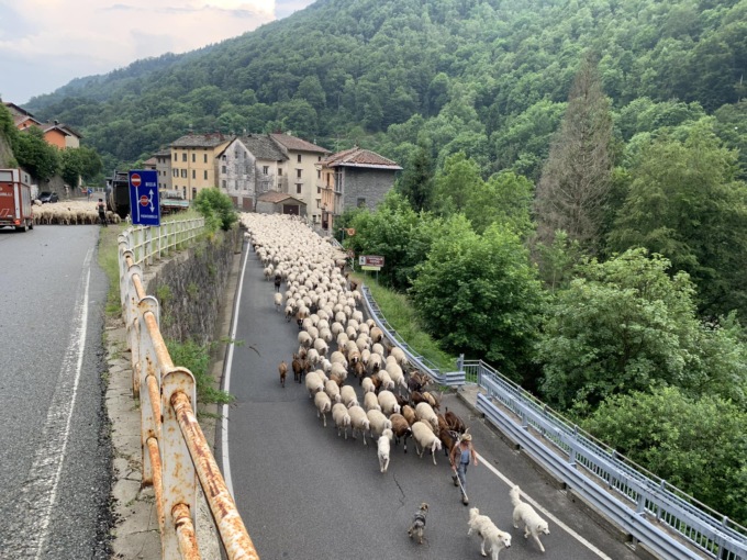 “Il nostro traffico è differente”, la foto che fa impazzire i social