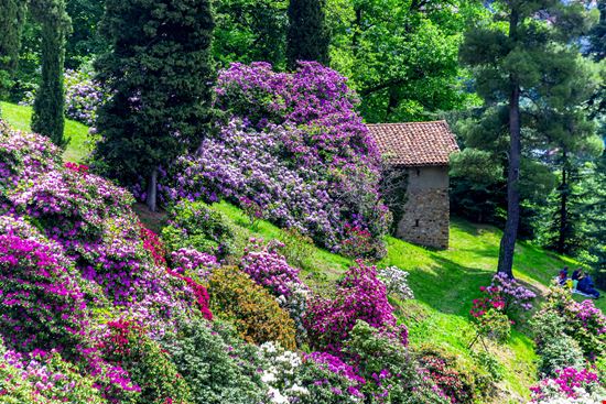 Mezzo milione di euro per il Parco della Burcina