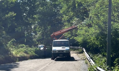 Alberi pericolanti minacciano le case: sgomberate due famiglie a Cossila San Grato.