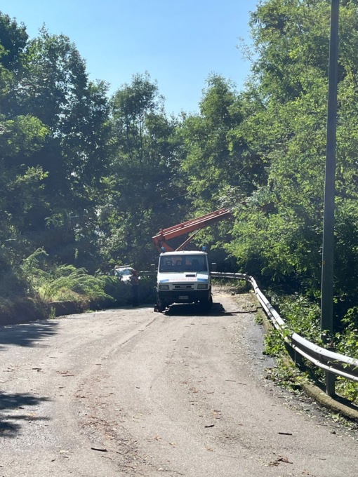 Alberi pericolanti minacciano le case: sgomberate due famiglie a Cossila San Grato.