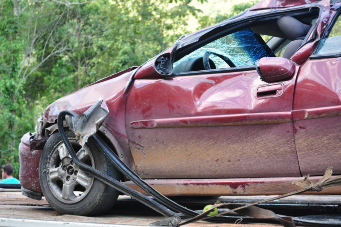 Incidente stradale causato da animale randagio? Paga il gestore dell’autostrada!