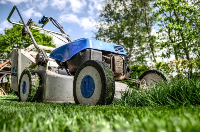 Si assumono 5 operai giardinieri a tempo determinato e full-time