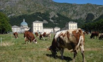 La Fiera di San Bartramè torna a Oropa questo weekend