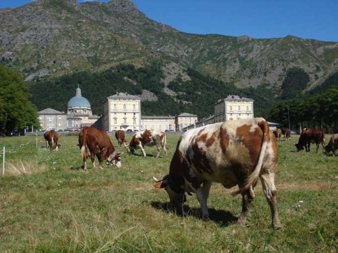 La Fiera di San Bartramè torna a Oropa questo weekend