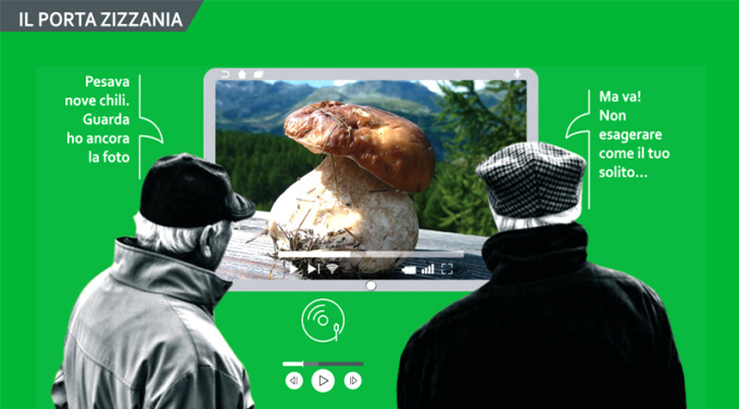 Funghi grandi come cipolle quand ch’a fiòca