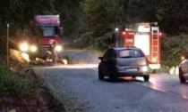 Cade una grossa pianta sulla carreggiata: chiusa (per qualche ora) la strada della Vallefredda