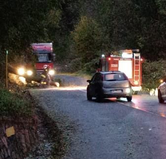 Cade una grossa pianta sulla carreggiata: chiusa (per qualche ora) la strada della Vallefredda