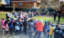 Dalla scuola di Cavaglià 150 bambini alla Festa dell'Albero