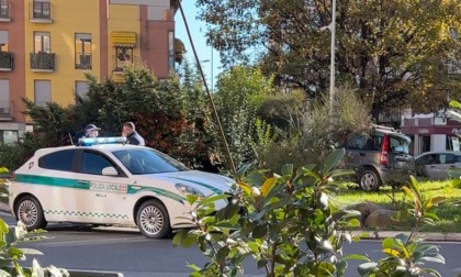 Incidente in piazza Adua con fuga: preso e denunciato