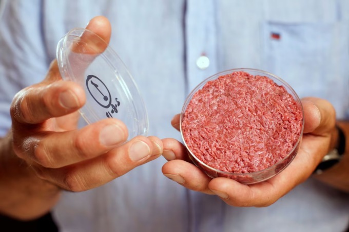 Cos’è la «carne coltivata» di cui tanto si sente parlare?