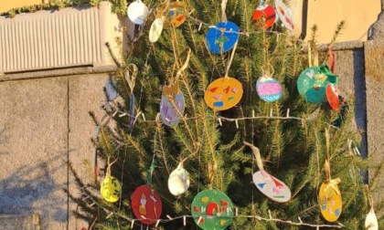Bioglio: dopo quello abbattuto dal vento, torna in piazza un nuovo albero di Natale