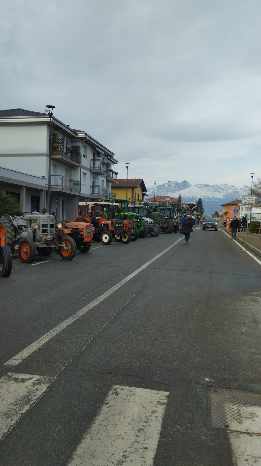 Festa di Sant'Antonio Abate Verrone (1)