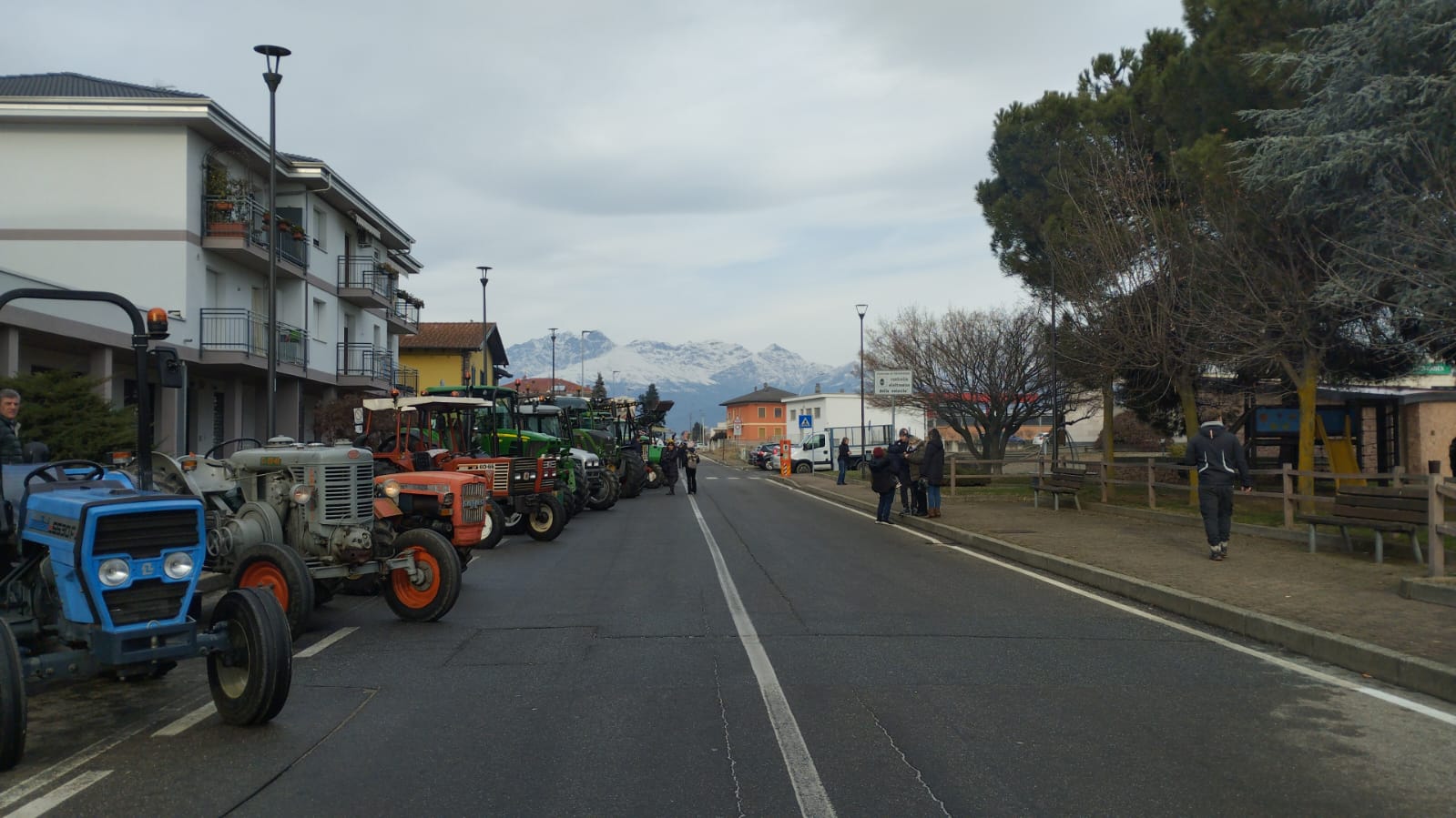 Festa di Sant'Antonio Abate Verrone (14)