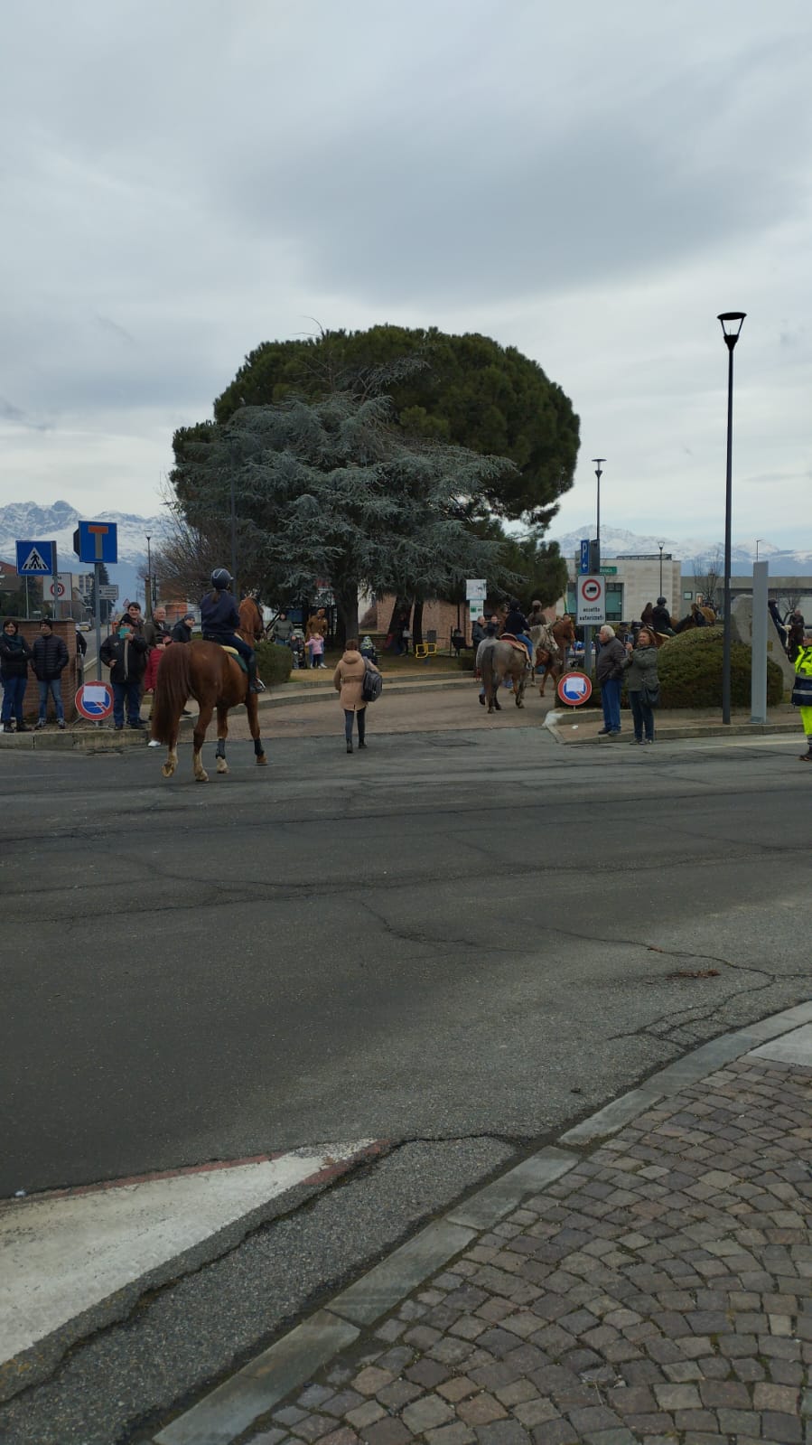 Festa di Sant'Antonio Abate Verrone (3)