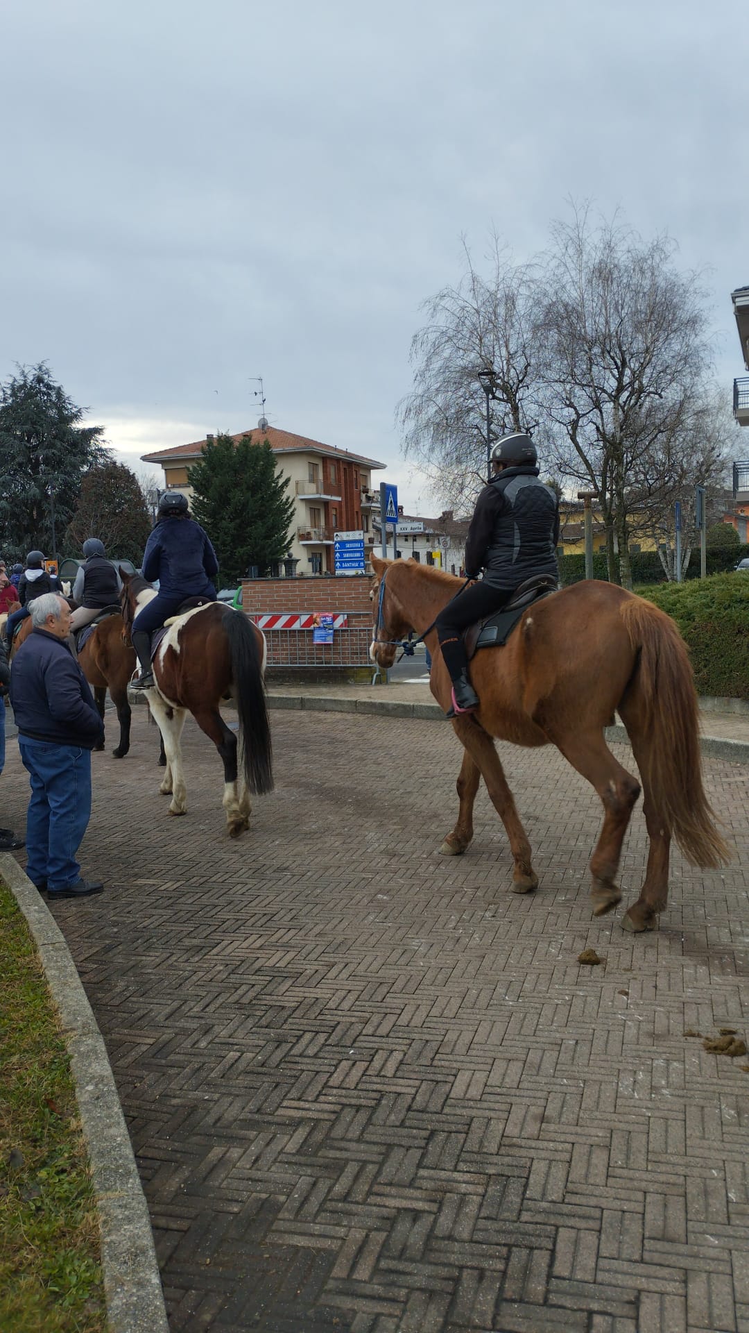 Festa di Sant'Antonio Abate Verrone (4)