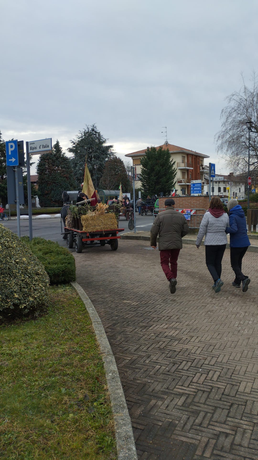 Festa di Sant'Antonio Abate Verrone (5)