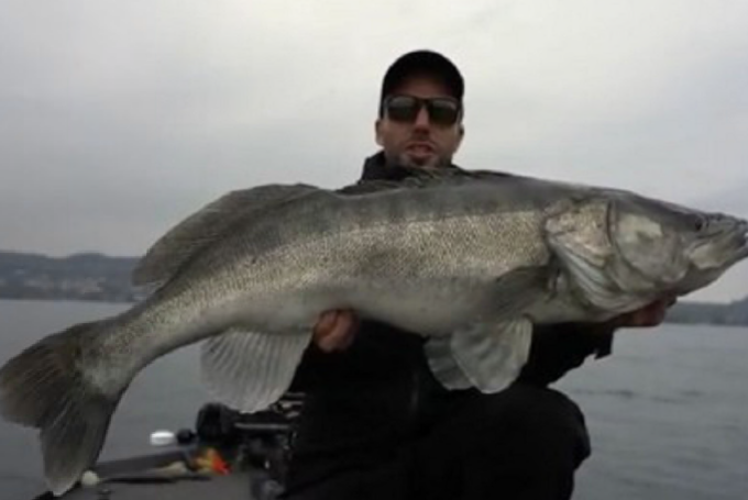 La super pesca a Viverone è su Youtube