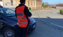 I Carabinieri mostrano i muscoli contro ladri e truffatori in Valle Elvo