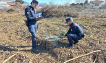 Fanno sparire un'intero boschetto a Chiavazza: sanzionati dai Carabinieri forestali