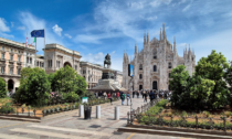 Rododendri della Alpi Biellesi in Piazza Duomo a Milano, le aiuole sono pronte