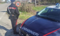Rubano uno scooter a Masserano: rintracciati e denunciati dai Carabinieri
