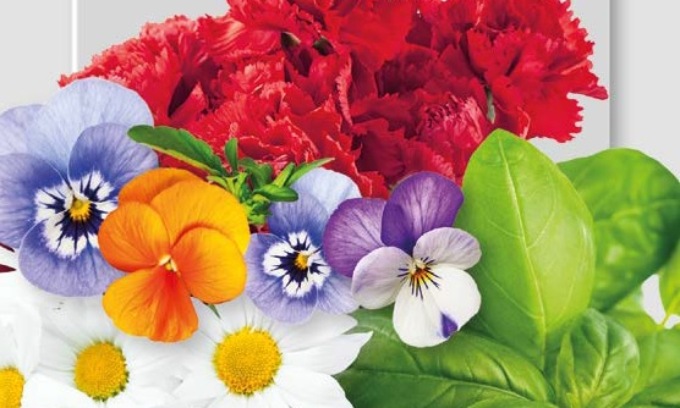 In regalo con Eco di Biella fiori… da mangiare