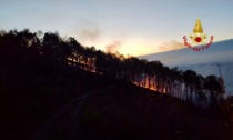 Ancora un incendio in montagna nella zona dell'Alpe Cavanna alimentato dal forte vento. Caccia all'incendiario