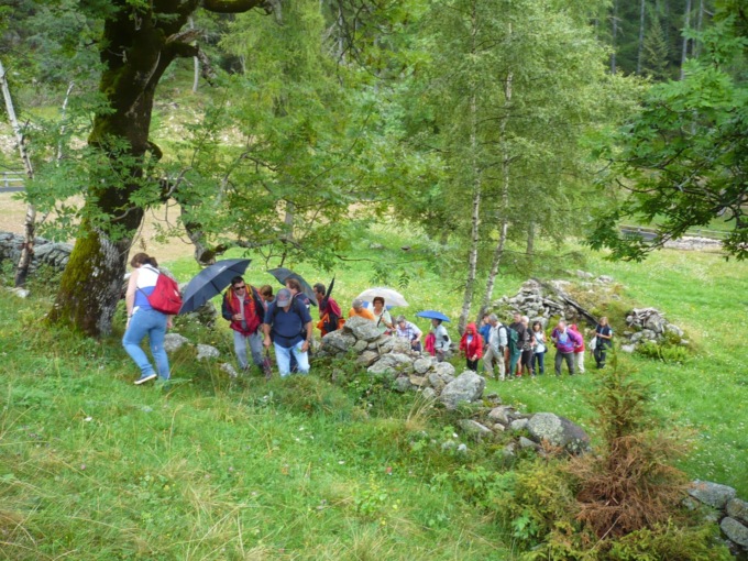 Andar per erbe, passeggiata nei prati di Salussola alla scoperta delle piante commestibili