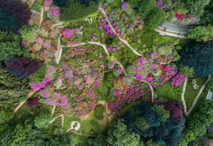 Il mese delle fioriture all’Oasi Zegna e alla Conca dei Rododendri