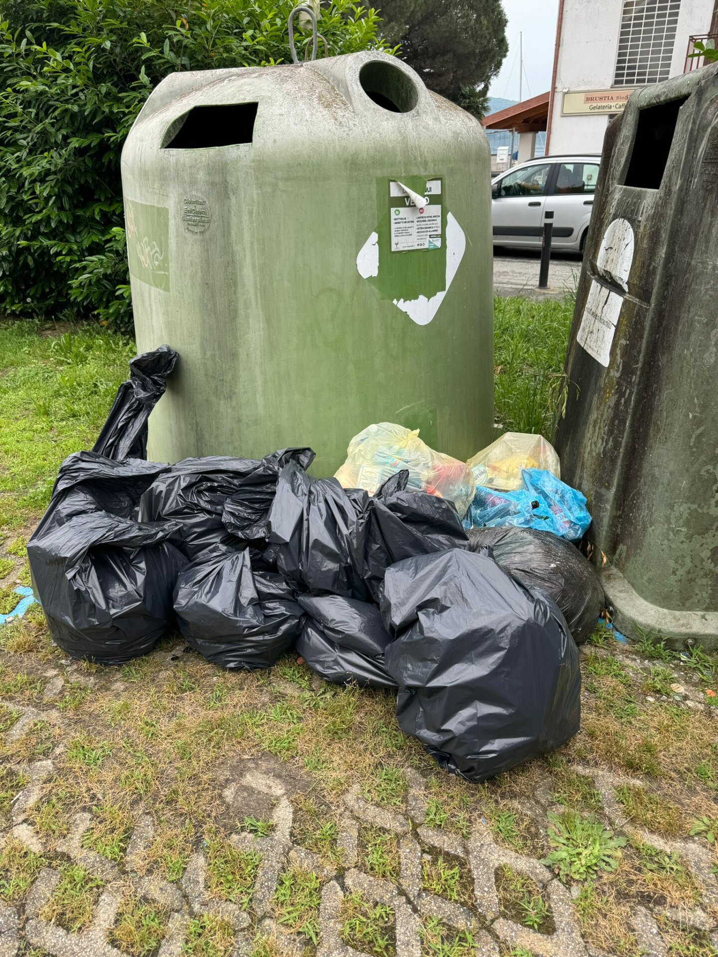 Passeggiata Ecologica sul Lungolago di Viverone Successo nonostante il Maltempo 2