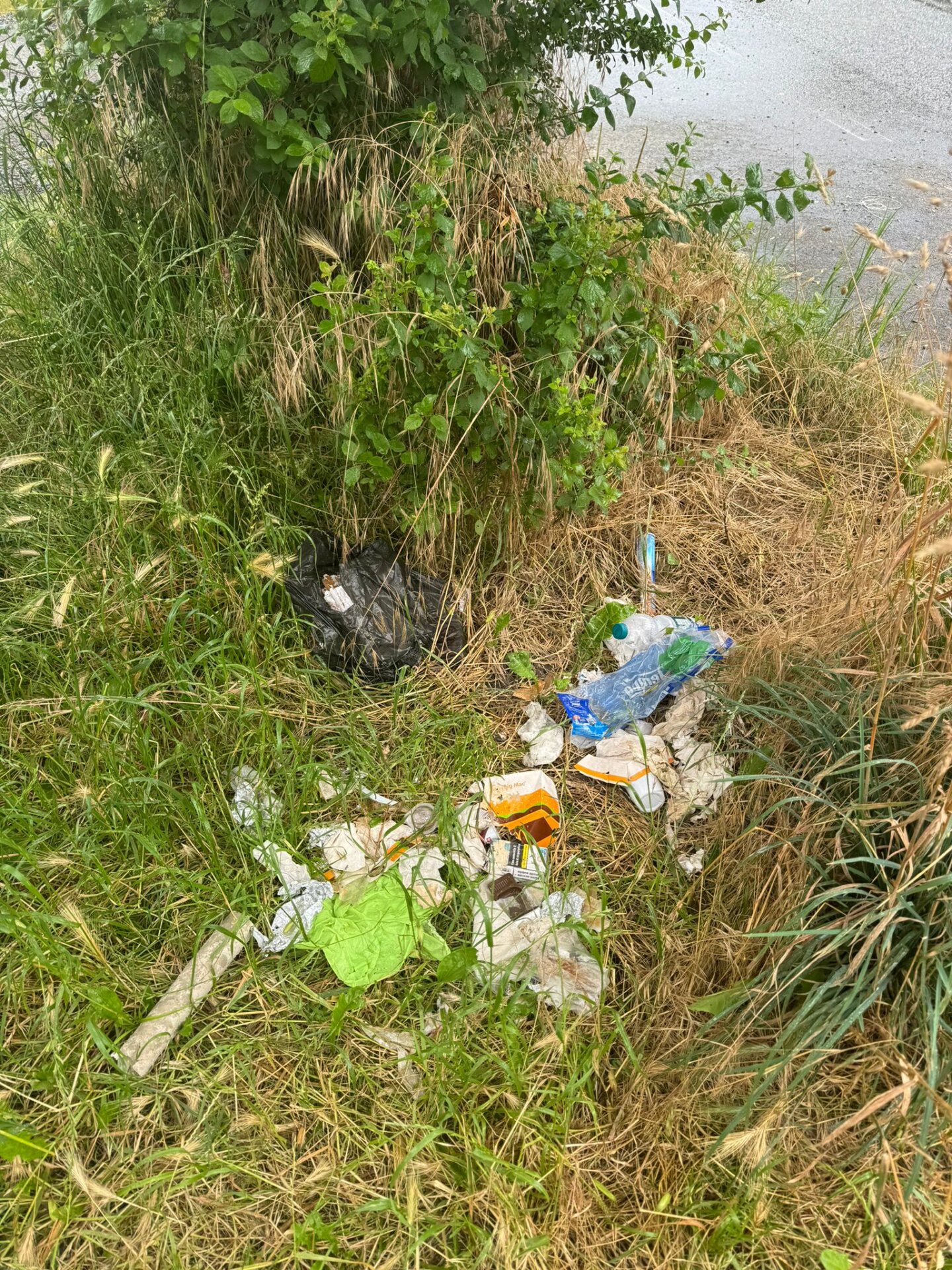 Passeggiata Ecologica sul Lungolago di Viverone Successo nonostante il Maltempo 6