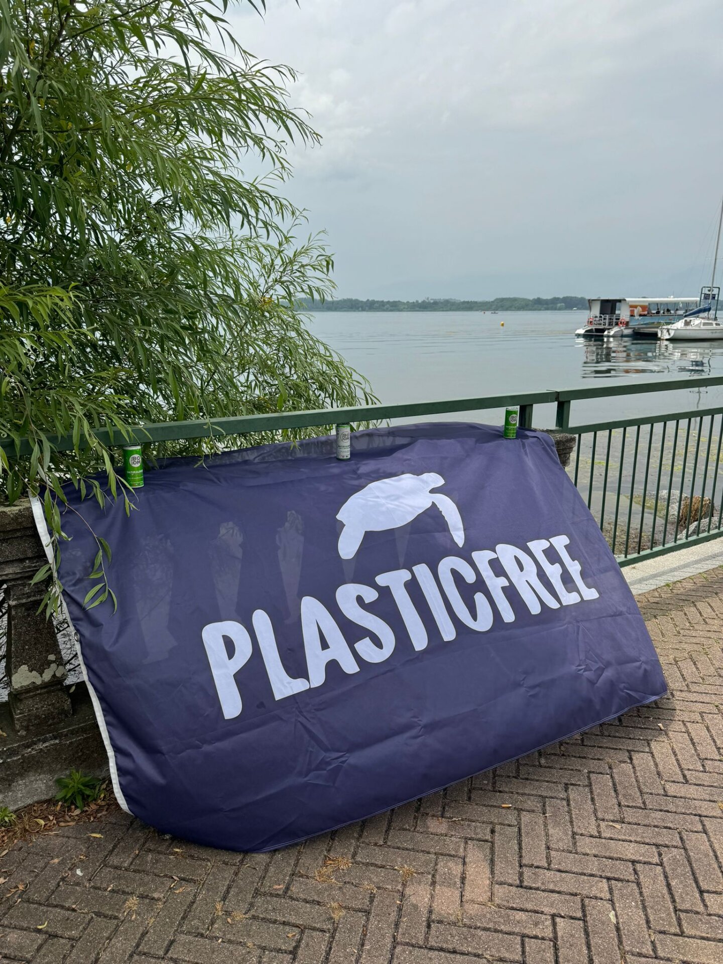 Passeggiata Ecologica sul Lungolago di Viverone Successo nonostante il Maltempo 8