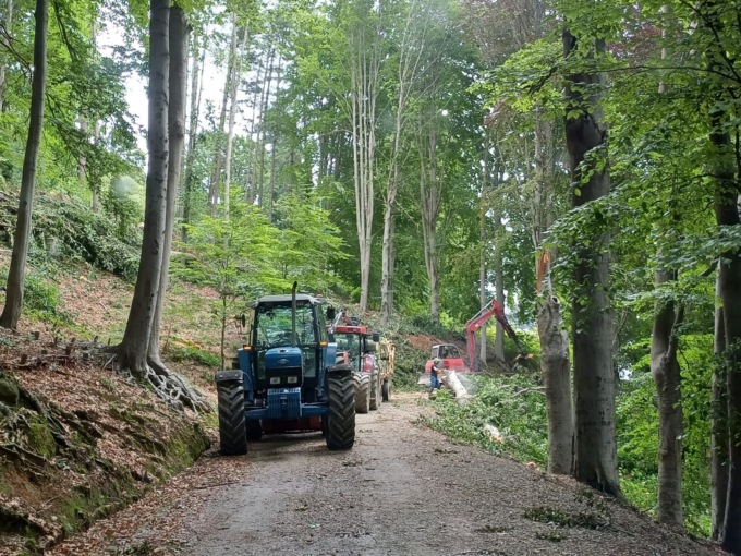 Parco Burcina, il sindaco di Pollone revoca l’ordinanza di chiusura: si riapre