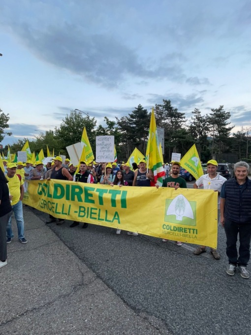 Anche centinaia di agricoltori biellesi hanno detto “Basta cinghiali”