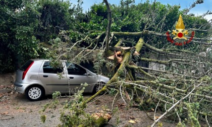 Danni per le raffiche di vento nel Biellese: impegnati i Vigili del fuoco