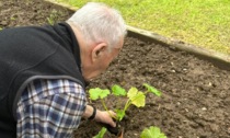 Un progetto di Ortoterapia nella Rsa di Ronco Biellese